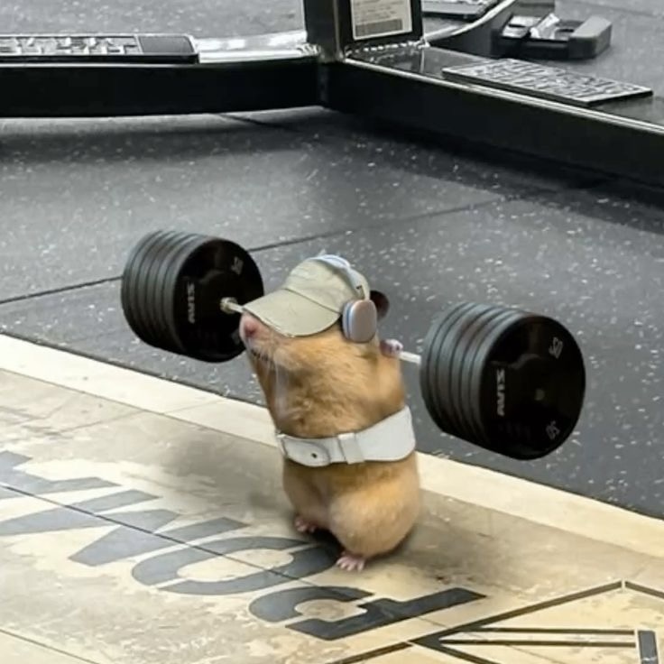 paket sesi tunggal (pay per session) drop in