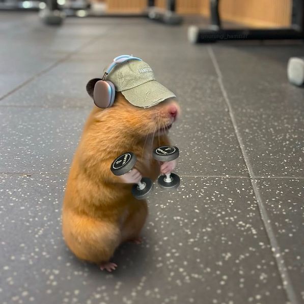 paket komitmen (lebih hemat per sesi) paket starter | 4 sesi 1 bulan